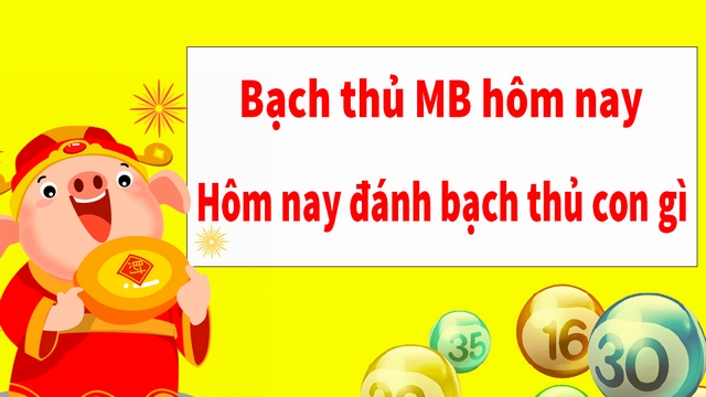 Các bạch thủ lô lâu ngày chưa về mà anh em cần tránh